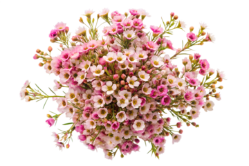 A bouquet of small, delicate pink and white flowers with green stems, arranged in a circular pattern, set against a plain white background.