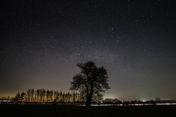 Rozgwieżdżone nocne niebo z widoczną Drogą Mleczną nad wiejskim krajobrazem, z wyraźną sylwetką samotnego drzewa na tle świateł horyzontu.