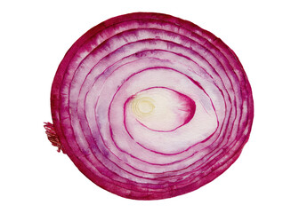 Close-up slice of red onion, revealing concentric layers
