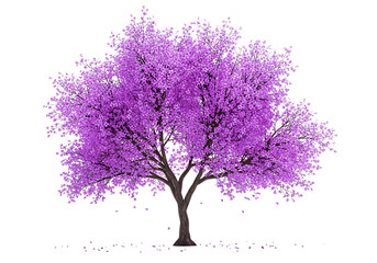 Purple flowering tree isolated on transparent background