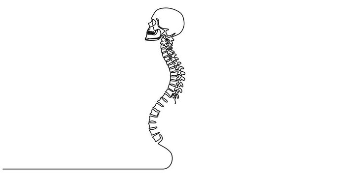 Animated self drawing of   spine continuous one line drawing, Continuous one line drawing bones of human hand. Wrist bones in single line art vector illustration. Editable stroke., Spine icon,