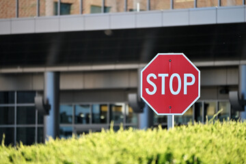 Stop Sign over the Bushes