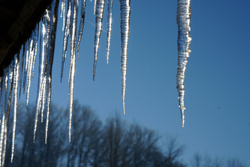 Row of icicles hanging from a green corrugated roof in winter sunshine