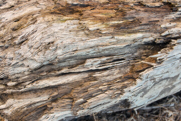 Layered rock texture with natural geological patterns