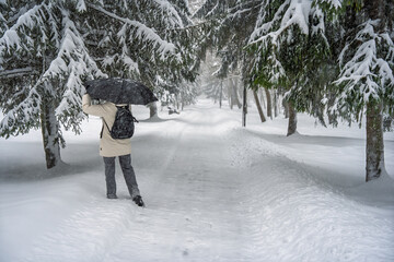 Person walking with an open black umbrella and backpack on a snowy park path, emphasizing cold weather and mobility