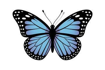 Stylized blue butterfly on transparent background