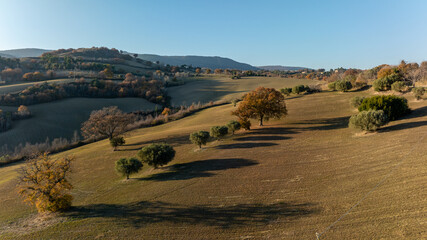 Aerial drone photograph revealing a stunning landscape of rolling hills and cultivated fields in...