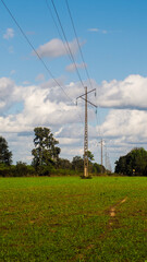 For&ecirc;t des Landes de Gascogne, au printemps