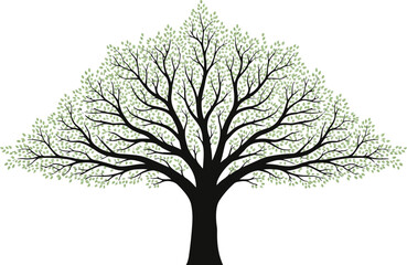 Obraz premium A black and white illustration of a tree with bare branches and leaves