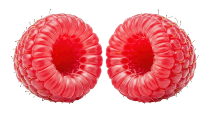 Two Ripe Red Raspberries Facing Each Other on Black Background raspberry fruit