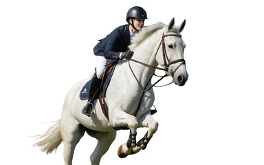 Fototapeta premium Young woman riding white horse in equestrian competition