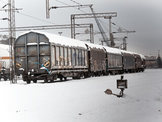 Vagones antiguos cubiertos con nieve en la estacion de Serbia