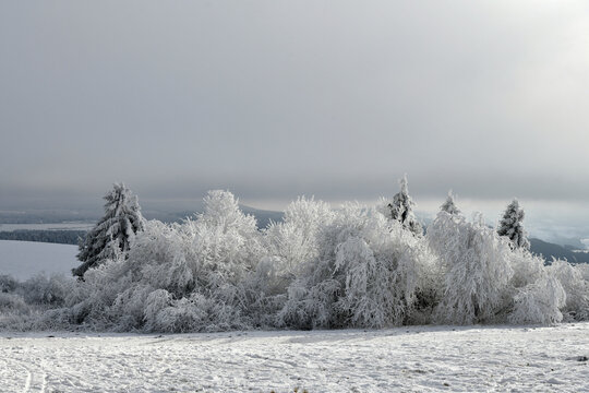 Wei&szlig;e Winterlandschaft