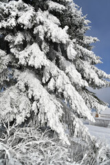 Wei&szlig;e Winterlandschaft