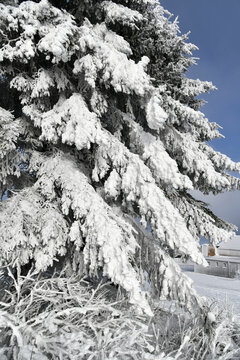 Wei&szlig;e Winterlandschaft