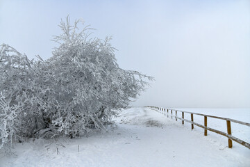 Wei&szlig;e Winterlandschaft