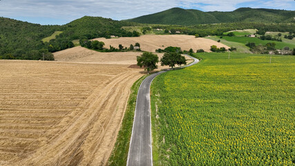 Fototapeta premium Drone aerial view of a narrow country road cutting through cultivated fields in rural Italy. Clean lines and natural textures.