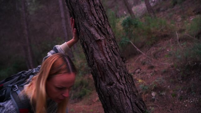 Blonde woman with backpack hiking through pine forest. Woman walk downhill, touche tree for balance, and continues her journey. Outdoor adventure concept
