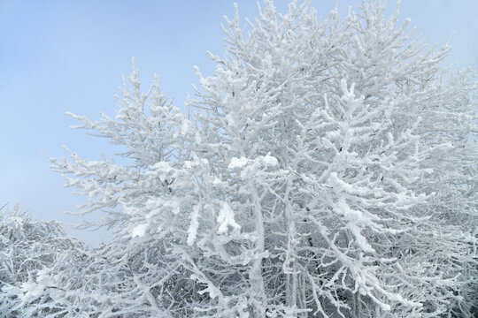 Wei&szlig;e Winterlandschaft