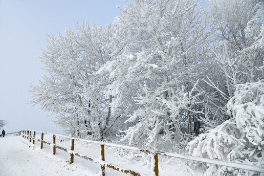 Wei&szlig;e Winterlandschaft