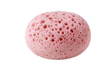 Round, light pink sponge with many holes