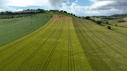 Striped green fields stretching across the Italian countryside, forming geometric agricultural patterns under soft natural light.