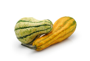 Small decorative pumpkins isolated on white background. Natural autumn decor for home interior and exterior.	