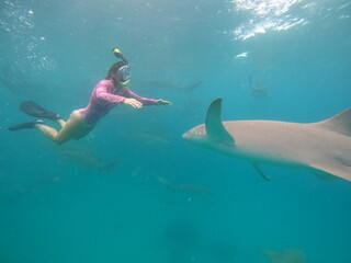 Snorkeling with nurse sharks in crystal clear waters of Vaavu Atoll, Maldives, peaceful underwater encounter with marine wildlife in a tropical Indian Ocean paradise
