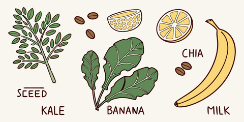 Illustrated collection of healthy smoothie ingredients including moringa seed kale banana chia citrus and milk for a nutritious breakfast beverage concept