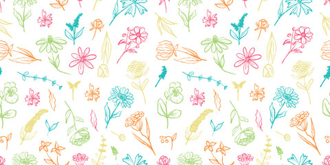 Seamless pattern with field flowers daisy, lavender, blanketflower, petunia, coneflower, poppy in colorful brush stroke texture on white. Hand drawn vector sketch illustration in vintage charcoal ink