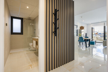 Modern bathroom and open plan living area with natural light