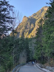 Tatry Wysokie - Polska - panorama na góy od strony Polskiej. © Konrad