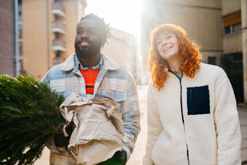 Obraz premium Smiling couple using carrying the Christmas tree