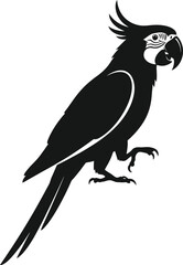 Obraz premium Black cockatoo isolated on transparent background
