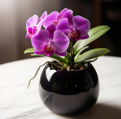 purple orchid on wooden table. purple orchid in a vase. Beautiful Purple Orchid. Home plant care. High quality photo