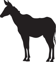 Fototapeta premium Okapi vector silhouette illustration isolated on white background. Forest giraffe. Okapia Johnstoni symbol.