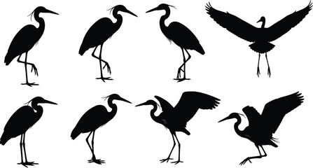 Obraz premium Heron silhouette vector set, black crane birds in various poses, standing and flying egret shapes for nature patterns, wetland wildlife icons