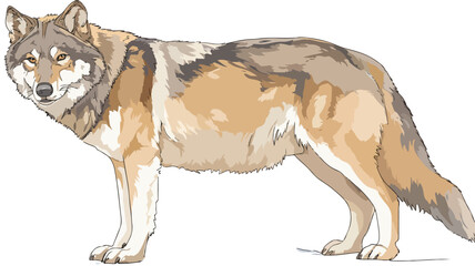 Playful Wolf Cartoon Vector with Outline on White Background