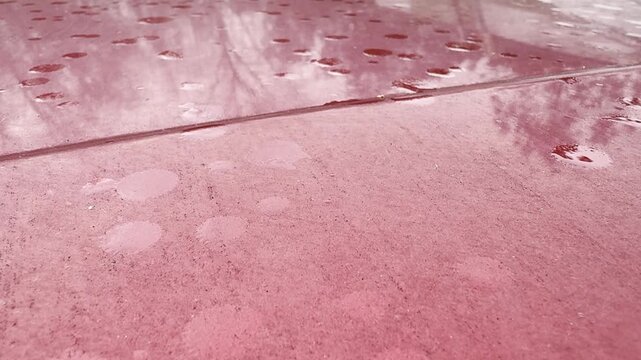 Rain falling on the hood of a red vehicle with consistent natural raindrop audio