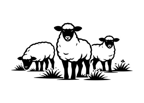 flock of sheep vector icon on a white background
Vector black icon