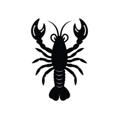 Obraz premium Adobe Illustrator Artwork