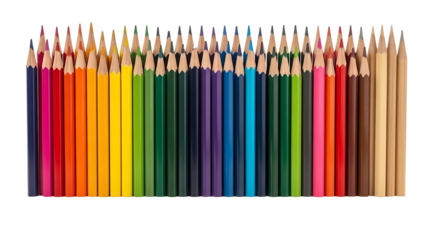 A row of colored pencils on a transparent background