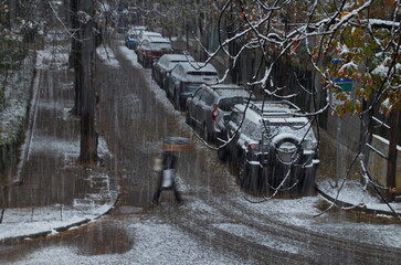 Small snowdrifts on branches in a blizzard with strong winds and heavy snowfall on the street with...