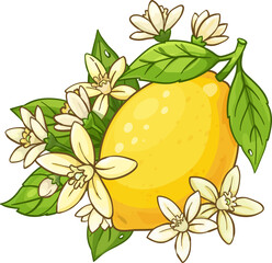 Cartoon vector illustration of a whole bright yellow lemon on a branch with green leaves and white citrus blossoms.