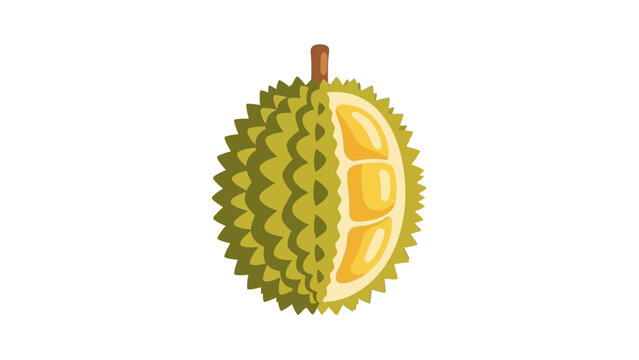 Flat vector durian isolated on white background