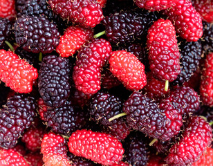Full frame close-up of mulberries forming a dense natural texture. Red and dark mulberry berries with visible stems and surface detail, photographed from above. Suitable for culinary design