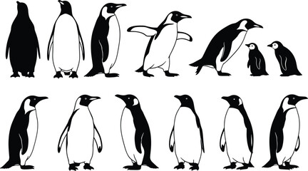 Fototapeta premium Penguin silhouette set, antarctic bird wildlife collection, cute penguins standing walking poses isolated on white background vector pack