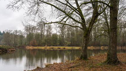 Rainy Day at Trojan Lake State Park at Trojan Nuclear Facility, near Rainier, Oregon	