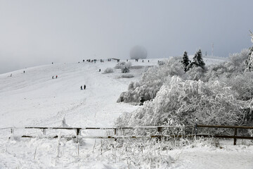 Rodeln auf der Wasserkuppe in der schönen Rhön