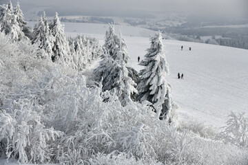 Rodeln auf der Wasserkuppe in der sch&ouml;nen Rh&ouml;n